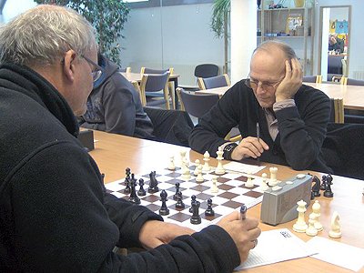 1_mohammer_-_lemmerhofer 1_mohammer_-_lemmerhofer